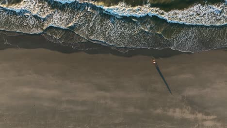 aerial top down shot of couple walking alone sandy beach at sunset in netherlands - waves of north sea reaching shoreline