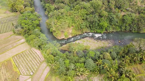 Natural-wild-river-Elo-meanders-through-Indonesian-landscape-and-farm-fields