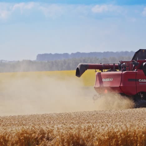 grain harvesting combine