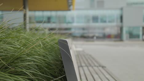 close up detail view of modern park bench and garden planter in an empty city street