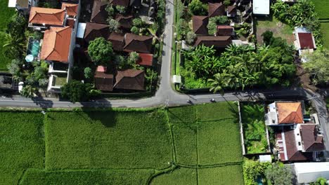 balinese charm from above: 4k drone view of ubud, bali