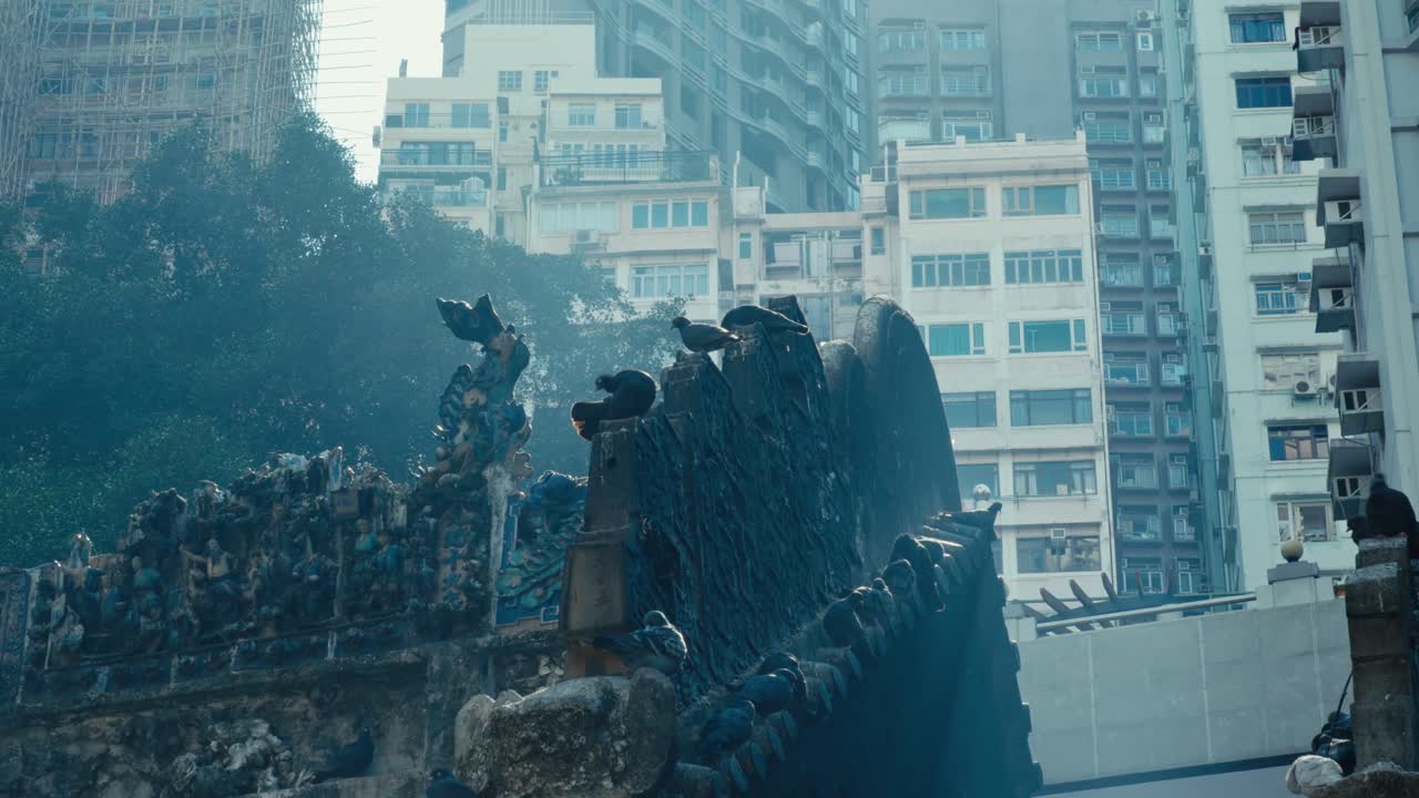 Piccione in volo attraverso il fumo di incenso nel Tempio Man Mo, Hong Kong (3).