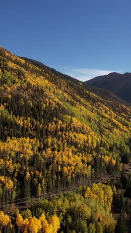 Vertical-Aerial-View,-Yellow-and-Green-Foliage-in-Autumn-Season,-Pristine-Forest-on-Golden-Hour