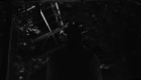silhouette of a person in the dark