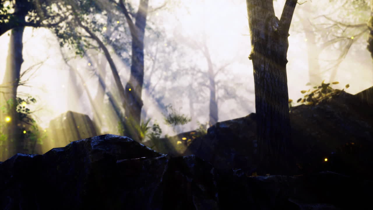Mysterious forest with sunlight rays filtering through misty trees