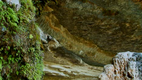 mirando desde el suelo hasta el techo en una gruta caverna
