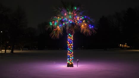 a vibrant palm tree adorned with colorful lights in a winter landscape, illuminating the snowy ground with festive cheer during a chilly night