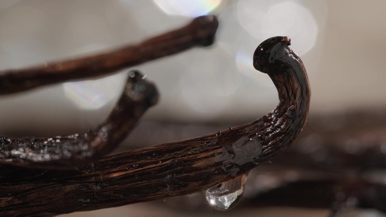 Primer plano cinematográfico fijo macro en súper cámara lenta de una gota de esencia de vainilla cayendo de la punta de una vaina de vainilla texturizada. Poca profundidad de campo y un fondo bokeh suave resaltan el brillo.