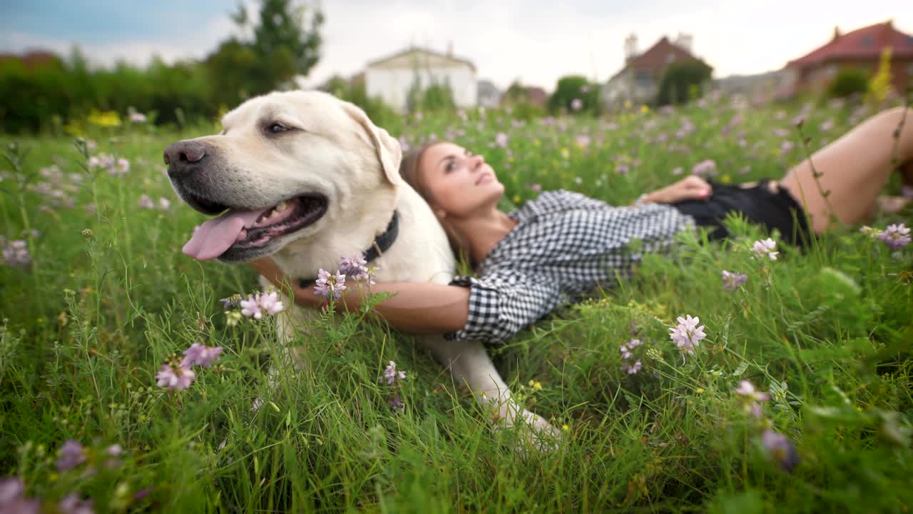 white labrador and young woman are resting in blooming lawn in countryside in summertime