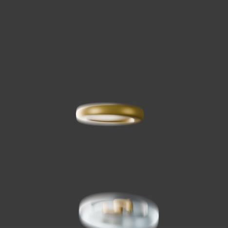 Animated 3D Dollar Coin
