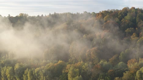 Drone-aerial-view-of-fog-over-the-park-in-Kaunas,-Lithuania