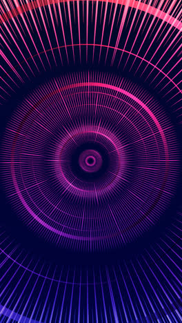 motion graphic of abstract colourful circles background in violet and blue