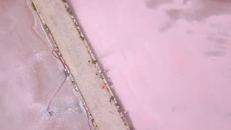 aerial top zoom in on four men running between the formentera salt lakes. you can see the amazing pink color of the salt flats