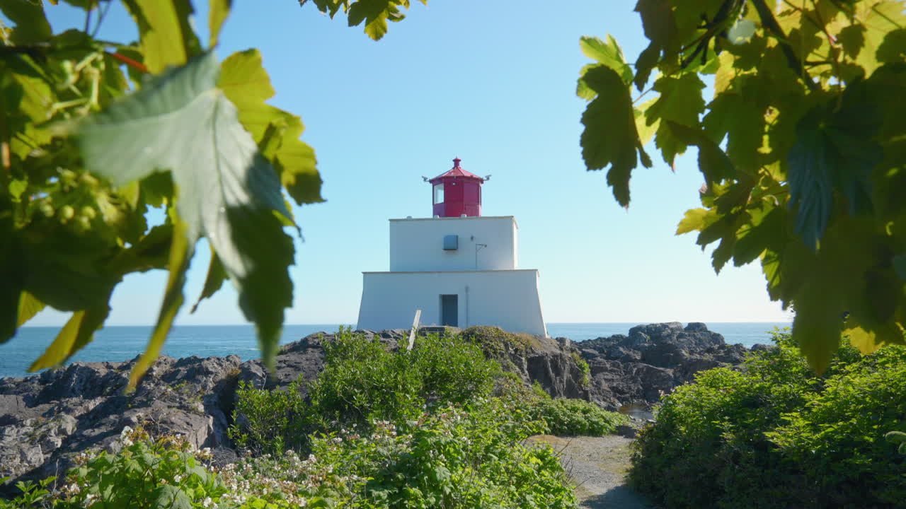 아름다운 등대 는 바람 에 날아다니는 잎 들 로  ⁇ 여 있다