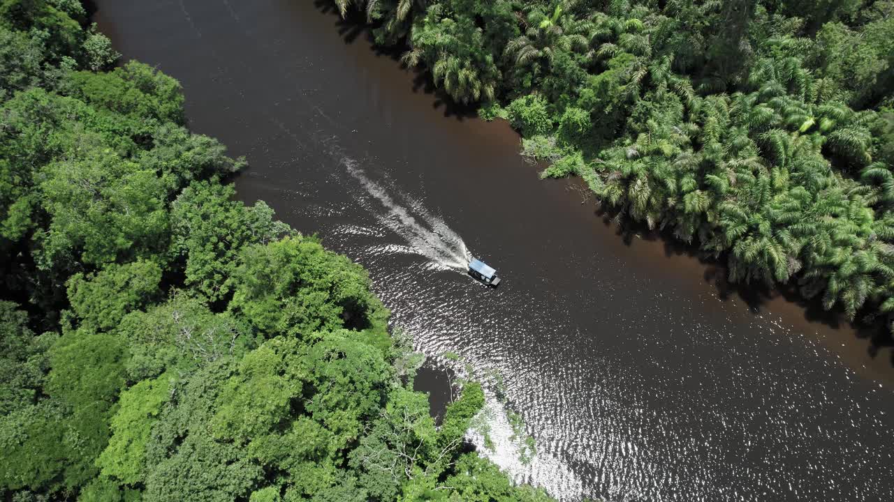 lancha con techo navegando en el río de la selva iluminada por el sol en costa rica