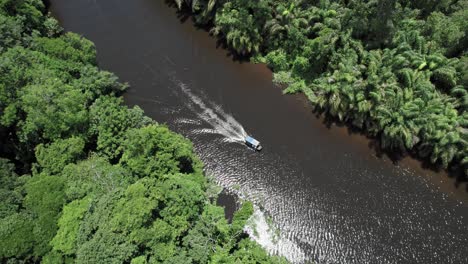 motorboat with roof cruising on sunlit jungle river in costa rica