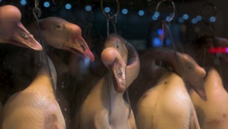 a restaurant displays geese for consumption hanging from a fridge in hong kong