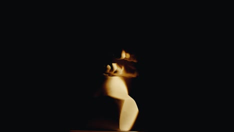 artful portraits in shadow and light