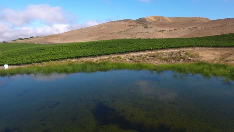 Hermosa-Antena-De-Viñedos-Montañosos-En-La-Región-Vitivinícola-De-La-Denominación-De-California-Santa-Rita