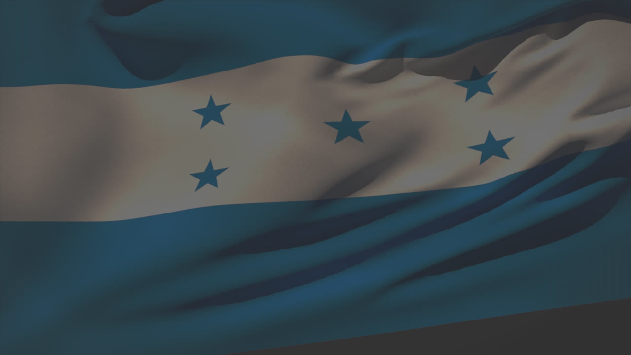 불꽃놀이 위에 흔들리는 온두라스 발의 애니메이션