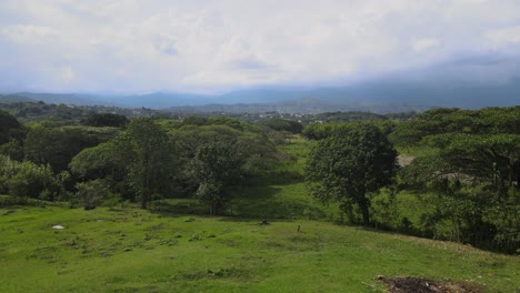 árboles y montañas de jamundi valle colombia