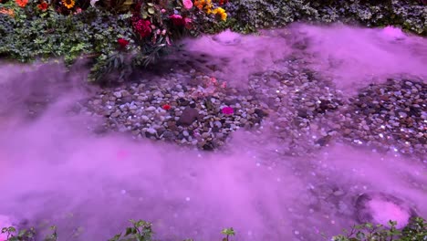 pink fog rolling over an indoor pond at the bellagio hotel and casino in las vegas nevada