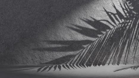 grey textured background wall with palm frond shadow waving on background