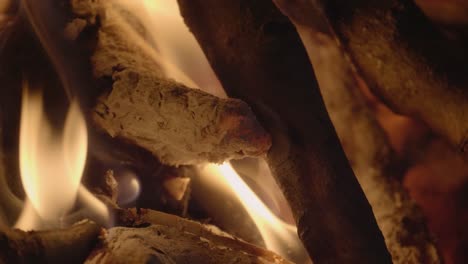 close up shot of wood burning in a log fire