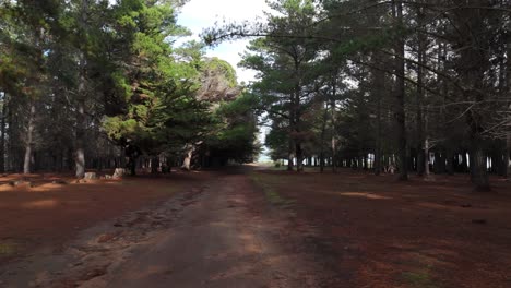 Quintay-Valparaiso-Chile-Tunquen-Invierno-árboles-Vista-De-Drone