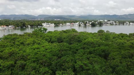 Toma-Aérea-Sobre-Un-Bosque-En-Un-Lago-Girardot-Colombia