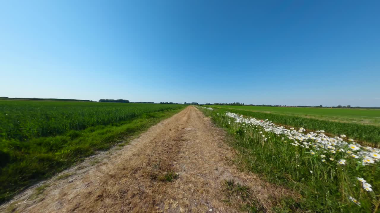 Ripresa aerea con drone di una natura nel pieno della sua bellezza in una magica giornata di sole a Middelburg-Zeeland, nei Paesi Bassi