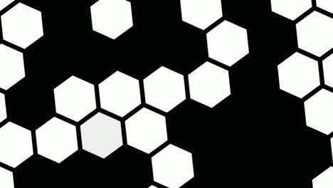 blinking white and blue hexagon lights in black background - animation rotate