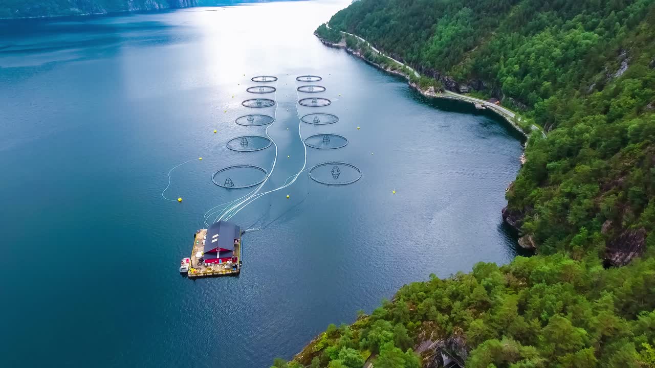 노르웨이에서 연어  ⁇ 시를 하는 공중 촬영