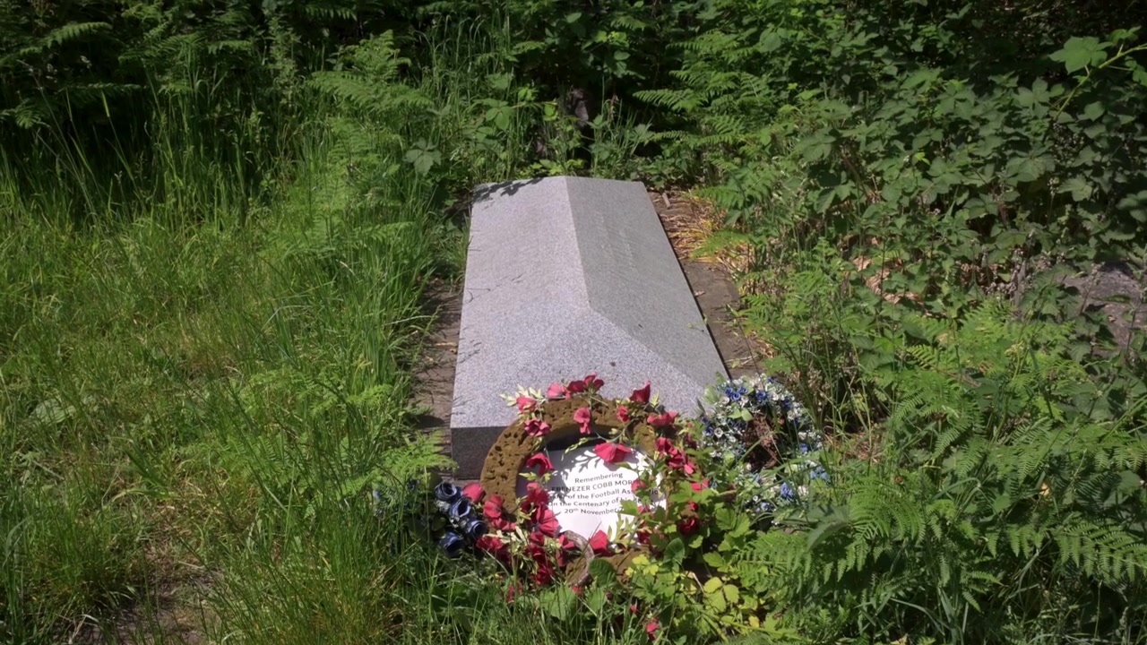 Una tomba illuminata dal sole, adornata con ghirlande colorate, è circondata da vegetazione incolta in un cimitero. Adatto per documentari storici o temi commemorativi