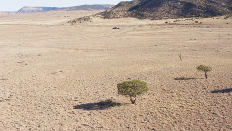 aerial view of western landscape in norwood, colorado, hamilton mesa