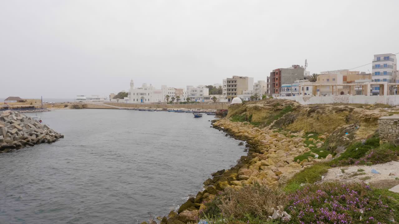 Seashore with stones and flowers near city on beautiful coastline