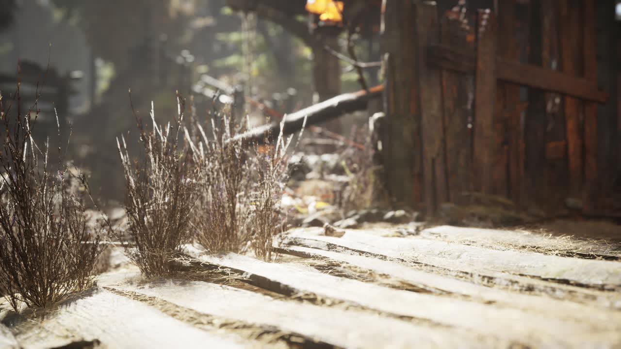 소나무 숲 속 의 옛 레트로 마을