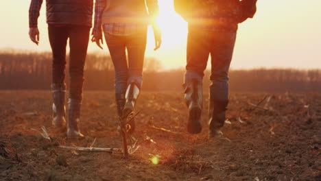 three farmers go ahead on a plowed field at sunset young team of farmers 4k video