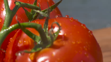 macro close up of beautiful, bright red, vine ripened tomatoes dripping with water in the summer sun