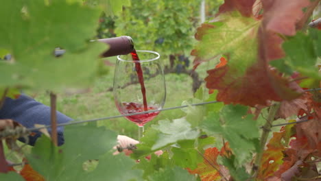 Verter-Vino-Tinto-De-Botella-En-Vidrio-En-Un-Campo-De-Viñedos