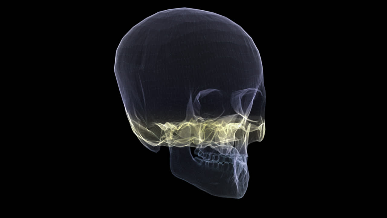 tomografía holográfica futurista de rayos x que explora el cráneo del paciente para el examen médico de simulación de evaluación de la salud y la evaluación en bucle de rotación completa con canal alfa - concepto médico