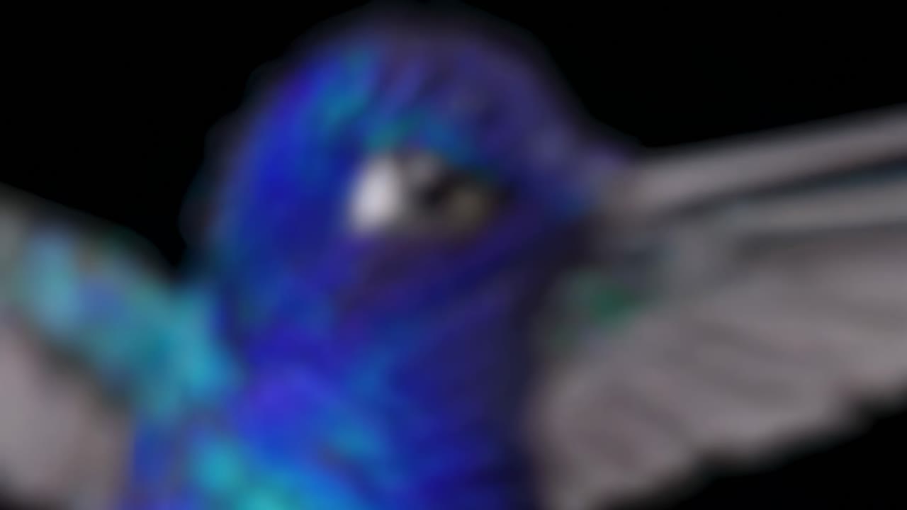 Close-up of a Vibrant Hummingbird