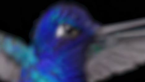 close-up of a vibrant hummingbird