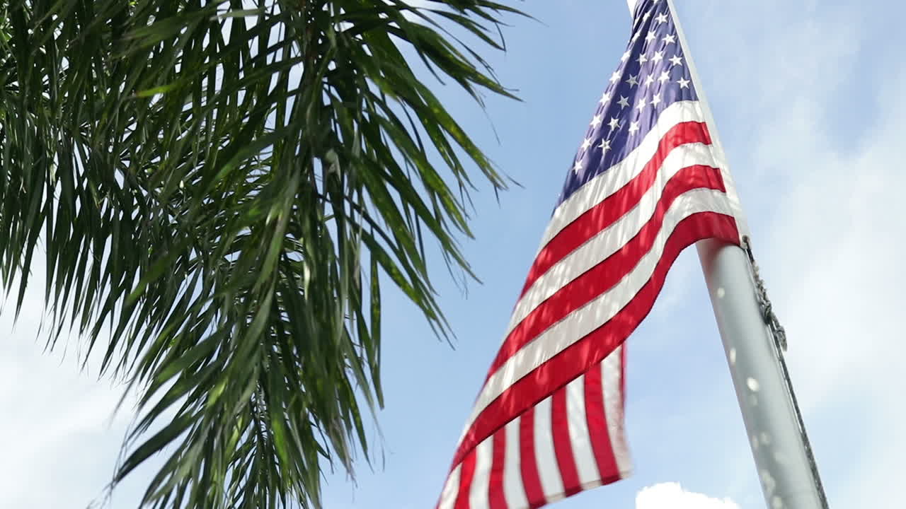 Inquadratura media di una bandiera americana e una palma