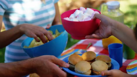 familia pasando la comida entre sí en el jardín de la casa
