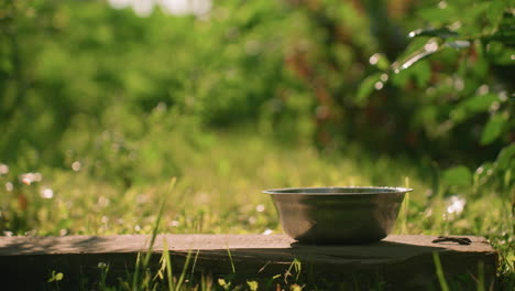 metal bowl resting on wooden plank in outdoor setting, surrounded by sunlit greenery, with blurred natural background and swaying leaves, with soft bokeh light in the background