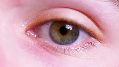 4k cinematic slow motion macro shot of a green left eye, with blue and brown flecks, opening and looking into the camera