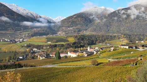 aerial drone over the vineyards in autumn in novacella, neustift south tyrol