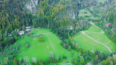 chalets surrounded by green lush alpine nature on sunny summer day