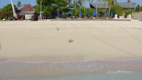 bird's eye view of beautiful woman resting on the tropical beach with turquoise ocean color and palms with coconut